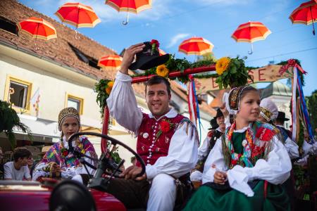 Izjemen obisk zaznamoval 50. Dneve narodnih noš in oblačilne dediščine v Kamniku (Blaž T. Muc)  (133)